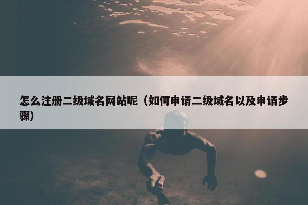 怎么注册二级域名网站呢（如何申请二级域名以及申请步骤）