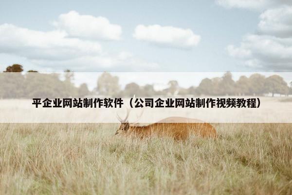 平企业网站制作软件（公司企业网站制作视频教程）