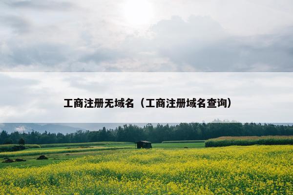 工商注册无域名（工商注册域名查询）