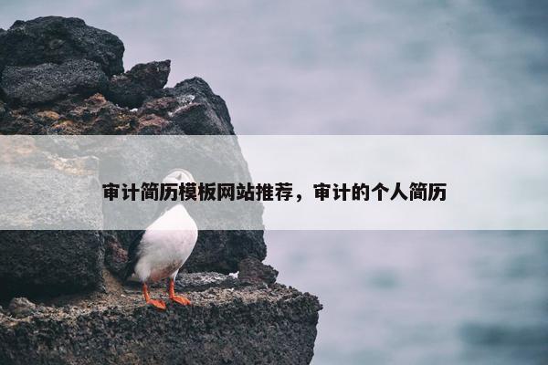 审计简历模板网站推荐，审计的个人简历