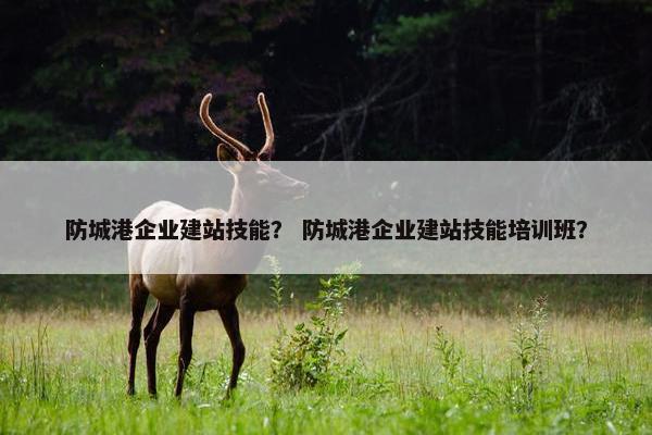 防城港企业建站技能？ 防城港企业建站技能培训班？