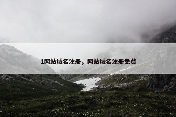 1网站域名注册，网站域名注册免费