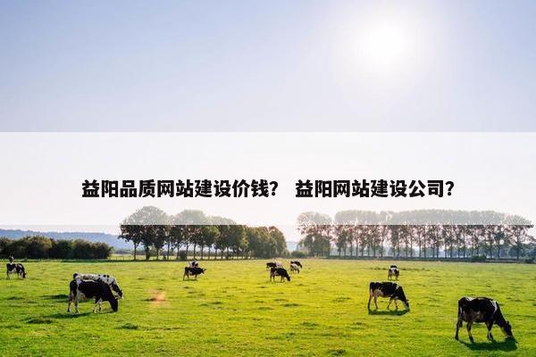 益阳品质网站建设价钱？ 益阳网站建设公司？