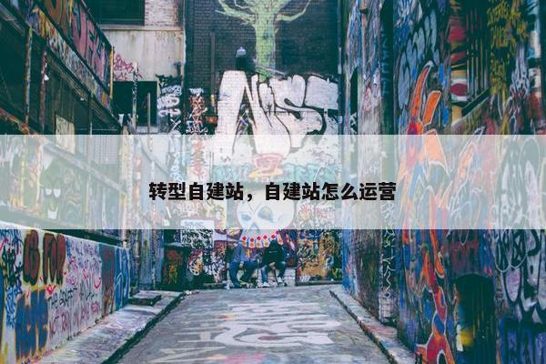 转型自建站，自建站怎么运营