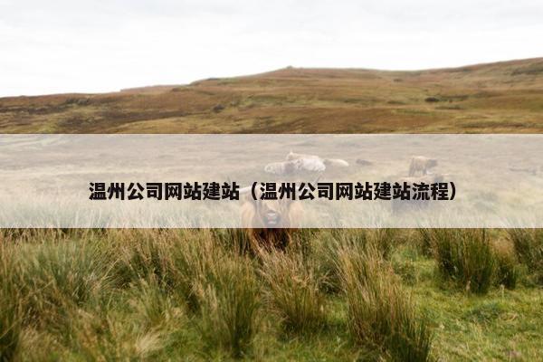 温州公司网站建站（温州公司网站建站流程）