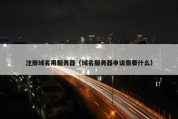 注册域名用服务器（域名服务器申请需要什么）
