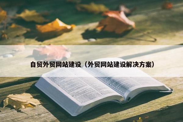 自贸外贸网站建设（外贸网站建设解决方案）