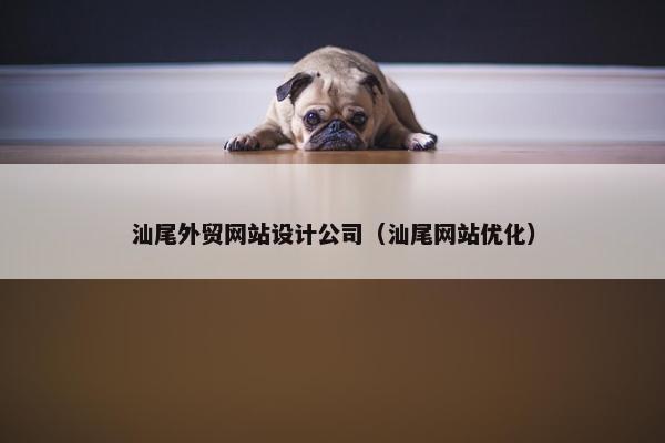 汕尾外贸网站设计公司（汕尾网站优化）