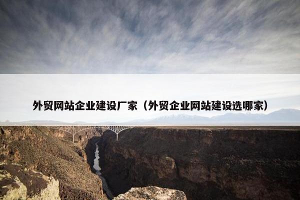外贸网站企业建设厂家（外贸企业网站建设选哪家）
