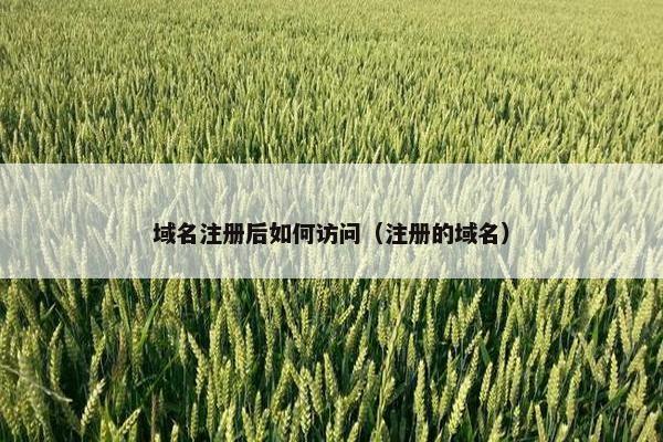 域名注册后如何访问（注册的域名）