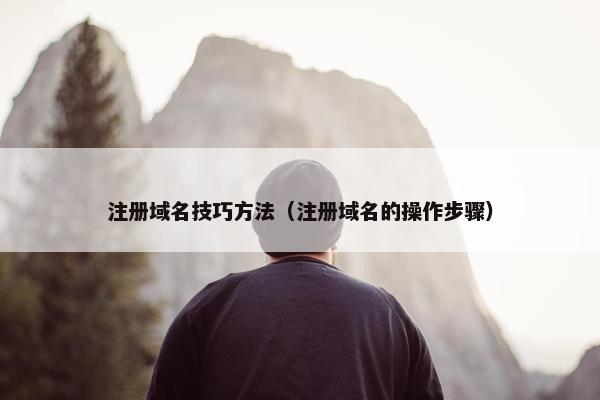 注册域名技巧方法（注册域名的操作步骤）