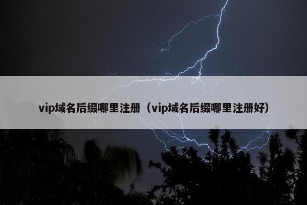 vip域名后缀哪里注册（vip域名后缀哪里注册好）
