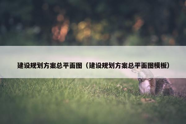 建设规划方案总平面图（建设规划方案总平面图模板）