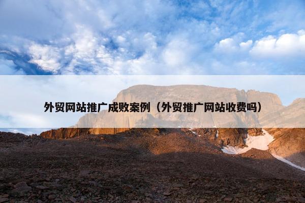 外贸网站推广成败案例（外贸推广网站收费吗）