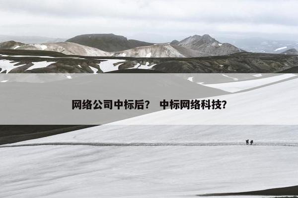 网络公司中标后？ 中标网络科技？