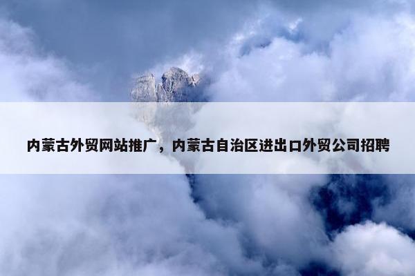内蒙古外贸网站推广，内蒙古自治区进出口外贸公司招聘