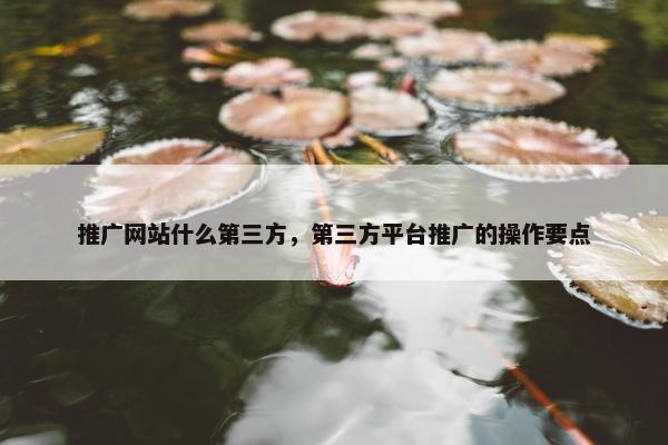 推广网站什么第三方，第三方平台推广的操作要点