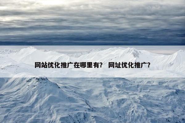 网站优化推广在哪里有？ 网址优化推广？