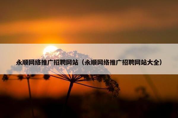 永顺网络推广招聘网站（永顺网络推广招聘网站大全）