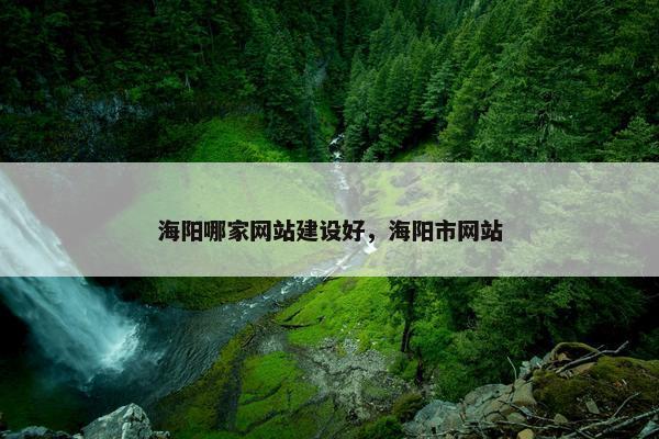 海阳哪家网站建设好，海阳市网站