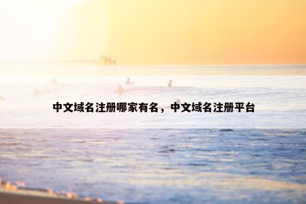 中文域名注册哪家有名，中文域名注册平台