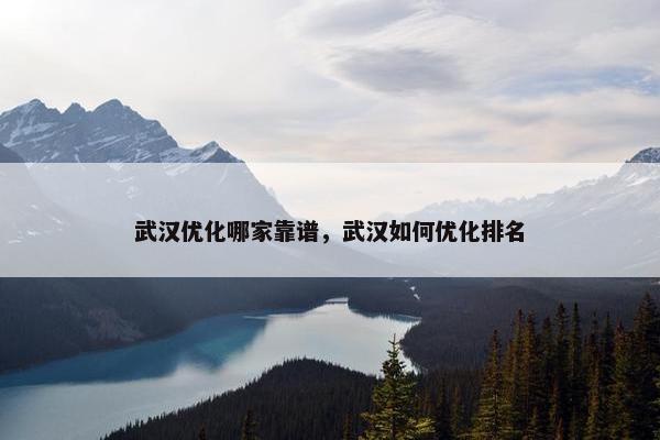 武汉优化哪家靠谱，武汉如何优化排名