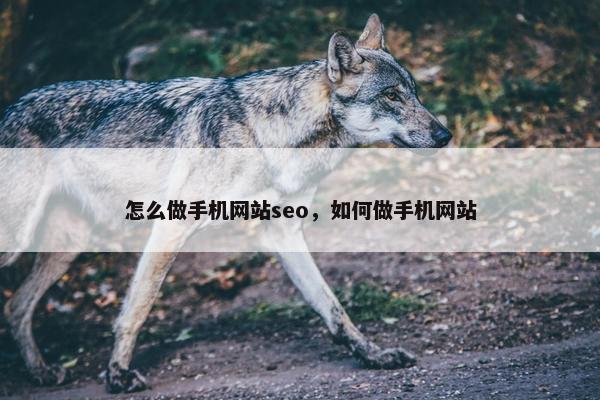 怎么做手机网站seo，如何做手机网站