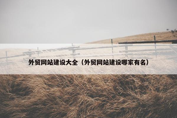 外贸网站建设大全（外贸网站建设哪家有名）
