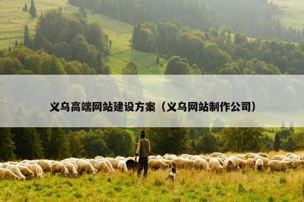 义乌高端网站建设方案（义乌网站制作公司）