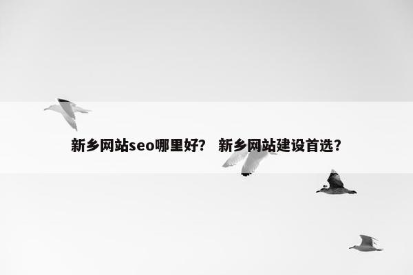 新乡网站seo哪里好？ 新乡网站建设首选？
