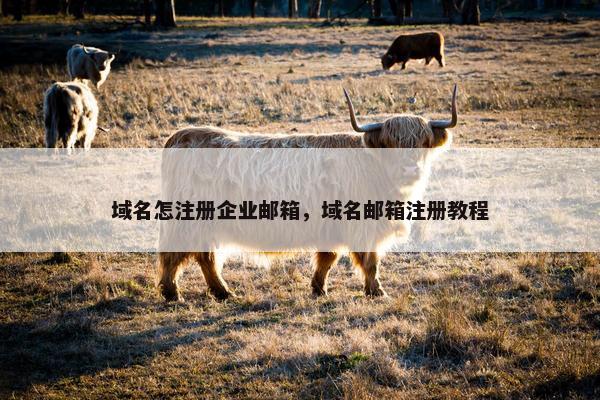 域名怎注册企业邮箱，域名邮箱注册教程