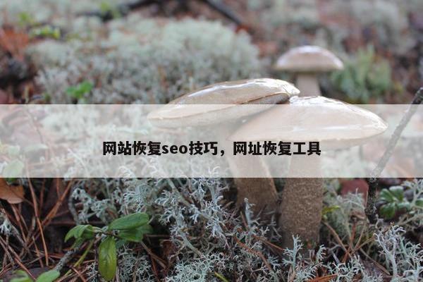 网站恢复seo技巧，网址恢复工具
