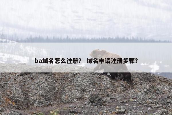 ba域名怎么注册？ 域名申请注册步骤？