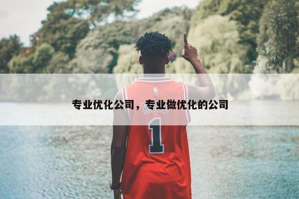 专业优化公司，专业做优化的公司