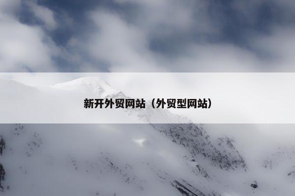 新开外贸网站（外贸型网站）
