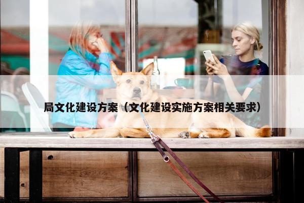 局文化建设方案（文化建设实施方案相关要求）