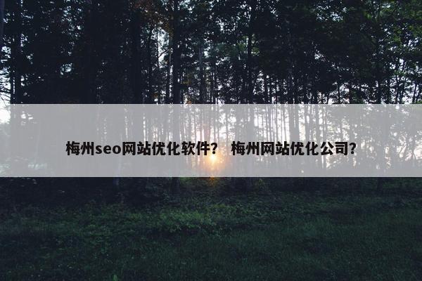梅州seo网站优化软件？ 梅州网站优化公司？