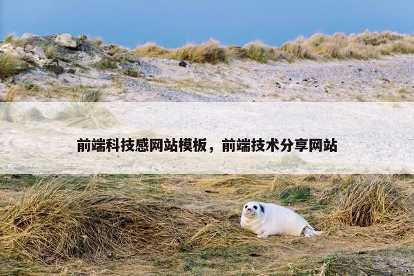 前端科技感网站模板，前端技术分享网站