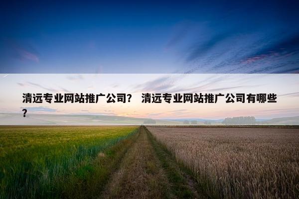 清远专业网站推广公司？ 清远专业网站推广公司有哪些？