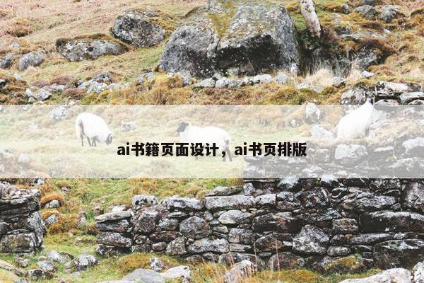 ai书籍页面设计，ai书页排版
