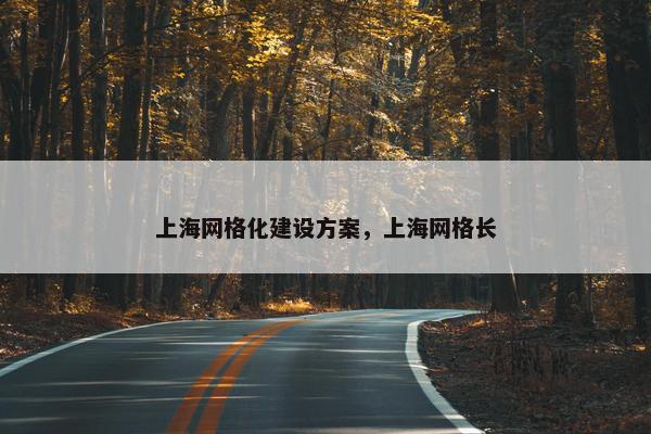 上海网格化建设方案，上海网格长