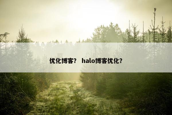 优化博客？ halo博客优化？