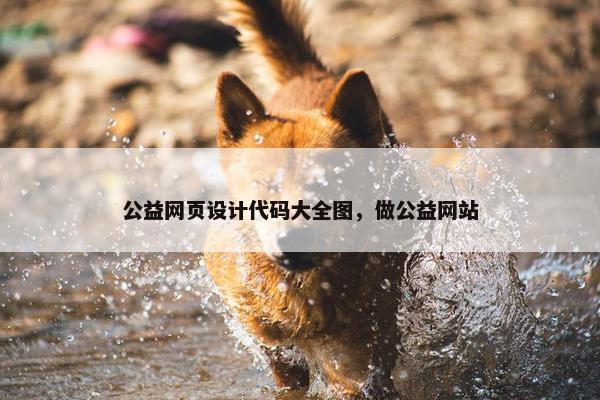 公益网页设计代码大全图，做公益网站