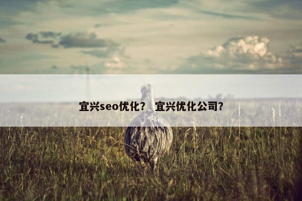 宜兴seo优化？ 宜兴优化公司？