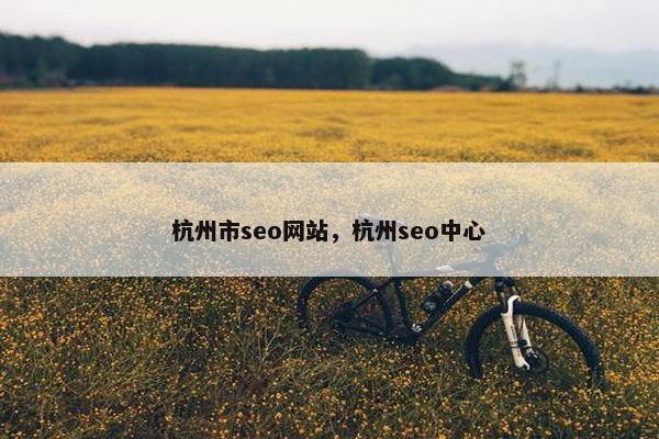 杭州市seo网站，杭州seo中心