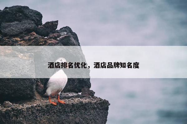 酒店排名优化，酒店品牌知名度