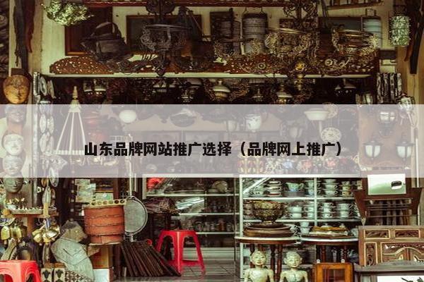 山东品牌网站推广选择（品牌网上推广）