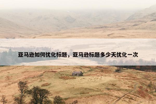亚马逊如何优化标题，亚马逊标题多少天优化一次