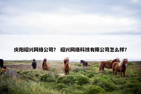 庆阳绍兴网络公司？ 绍兴网络科技有限公司怎么样？