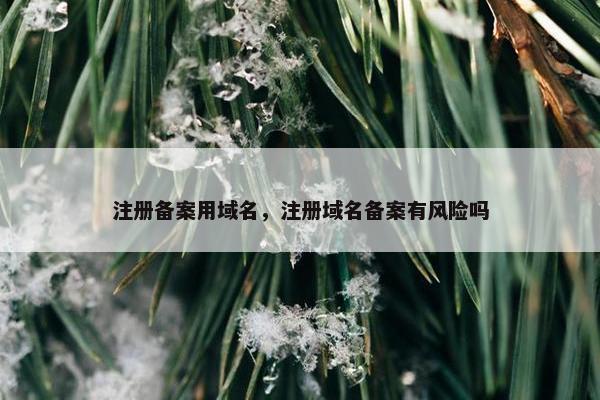 注册备案用域名，注册域名备案有风险吗